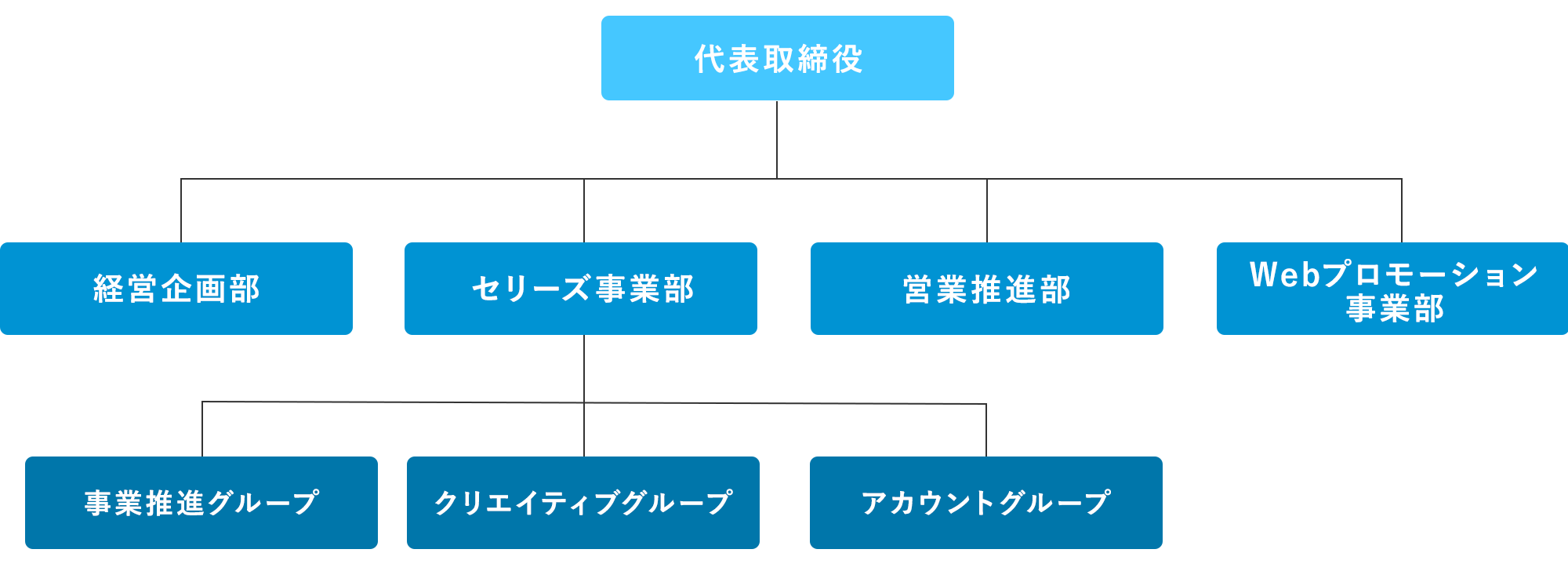 ORGANIZATION CHART 組織図